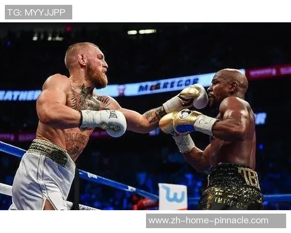 嘴炮与梅威瑟对决规则解析拳击界的巅峰对决与策略博弈