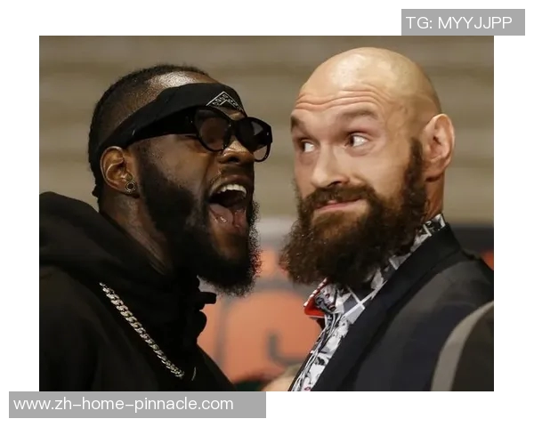 大卫海耶与维尔德的巅峰对决谁将问鼎拳坛之巅